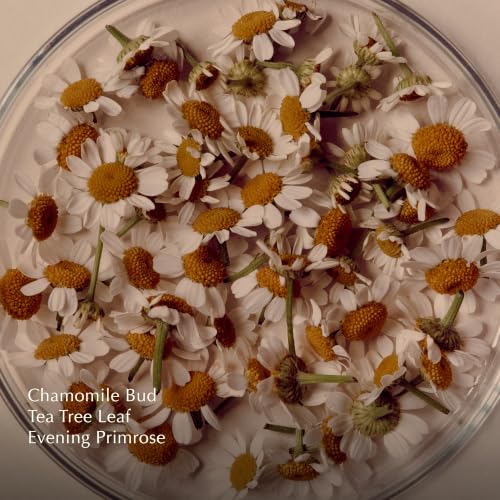 Chamomile Concentrate Anti-Blemish Masque | Clarifying Clay Formula with Chamomile Bud