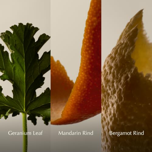Geranium Leaf Body Balm | Soothing