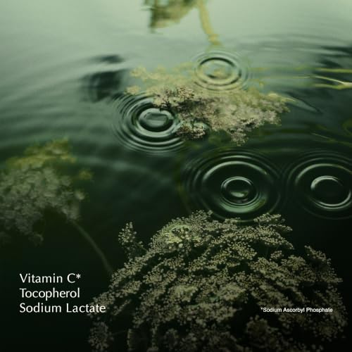 Parsley Seed Anti-Oxidant Eye Cream for Dry Skin | Vitamins C & E to Gently Nourish Skin