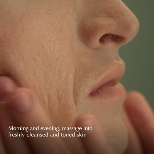 Parsley Seed Anti-Oxidant Moisturizer – Lightweight