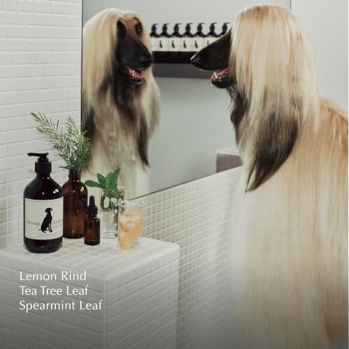 Pet Shampoo | Mild Dog Shampoo and Coat Wash that Gently Cleanses and Calms Skin with Odor
