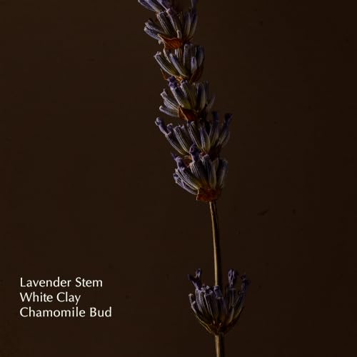 Purifying Facial Cream Cleanser | Gentle Formula with White Clay & Lavender Stem to Soften