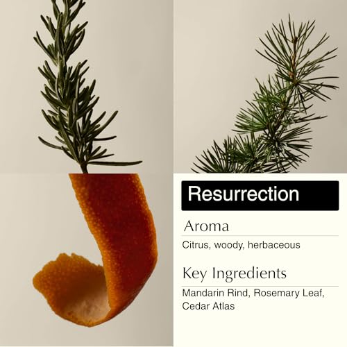 Resurrection & Reverence Aromatique Hand Wash Set – Nourishing Hand Wash & Gentle Exfoliat