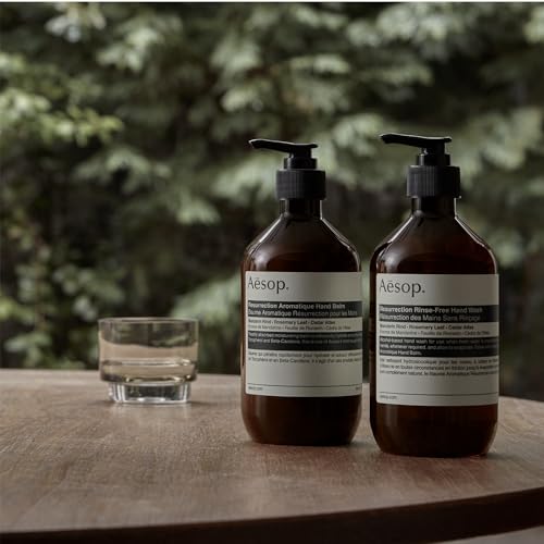 Resurrection Rinse-Free Hand Wash | Cleanse and Hydrate Without Water | Alcohol Based Form