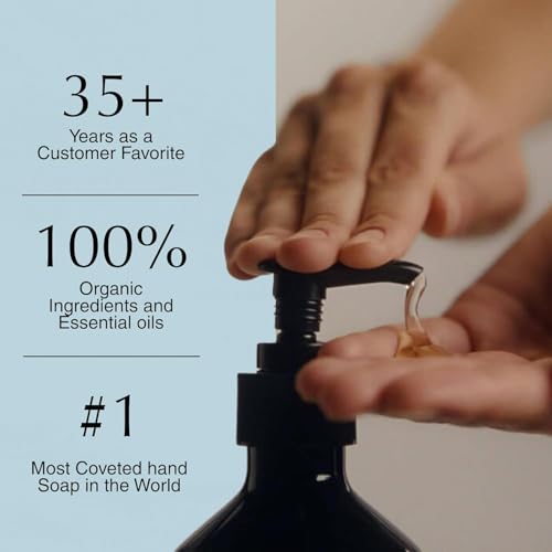 Reverence Aromatique Hand Wash Refill | Cleanse and Exfoliate the Hands | With Botanical E