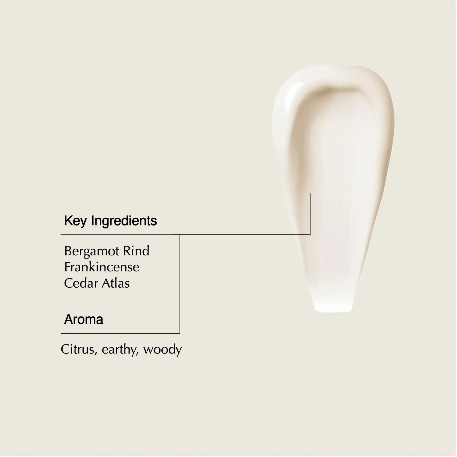 Shampoo & Conditioner Refill Set (Pack of 2)