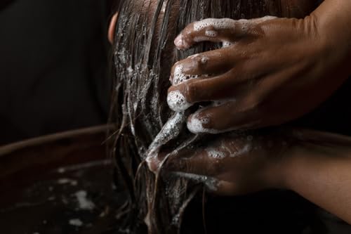 Shampoo | Gentle Purifying Shampoo for All Hair Types | Color-Safe