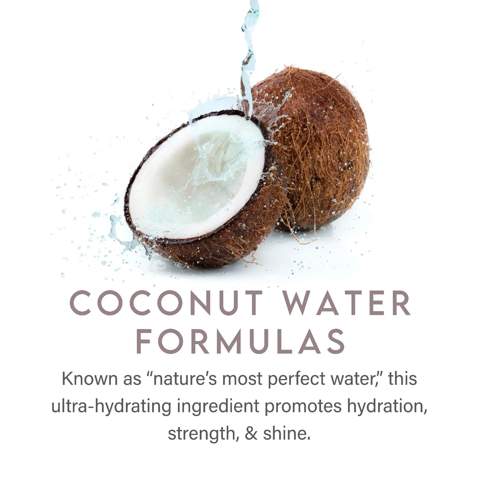 Coconut Water Purple Shampoo
