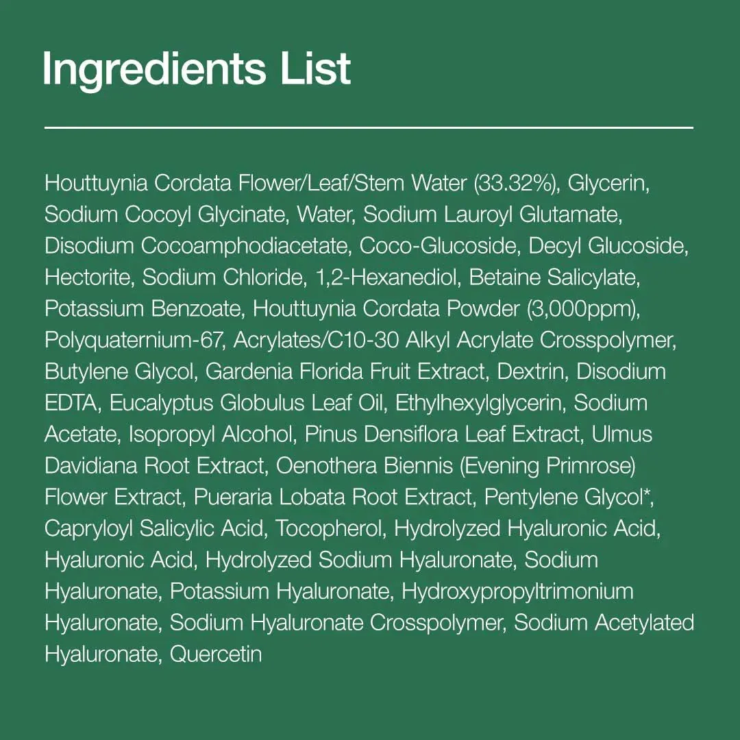 Heartleaf Quercetinol Pore Deep Cleansing Foam Facial Cleanser