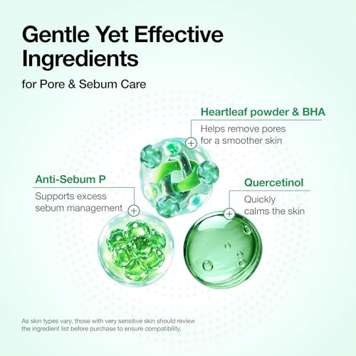 Heartleaf Quercetinol Pore Deep Cleansing Foam