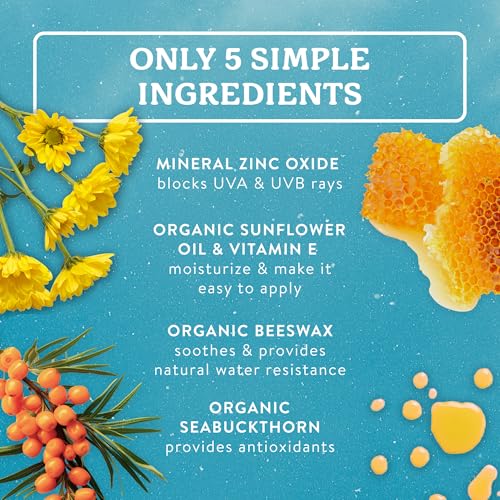 SPF 30 Unscented Sunscreen Cream 2.9 oz