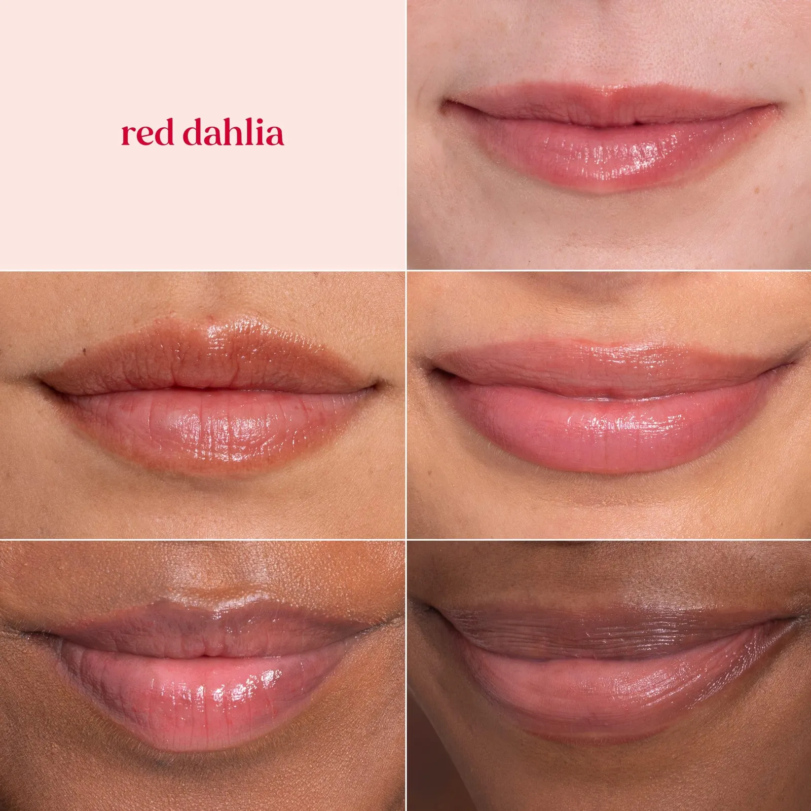Red Dahlia Lip Tint Balm
