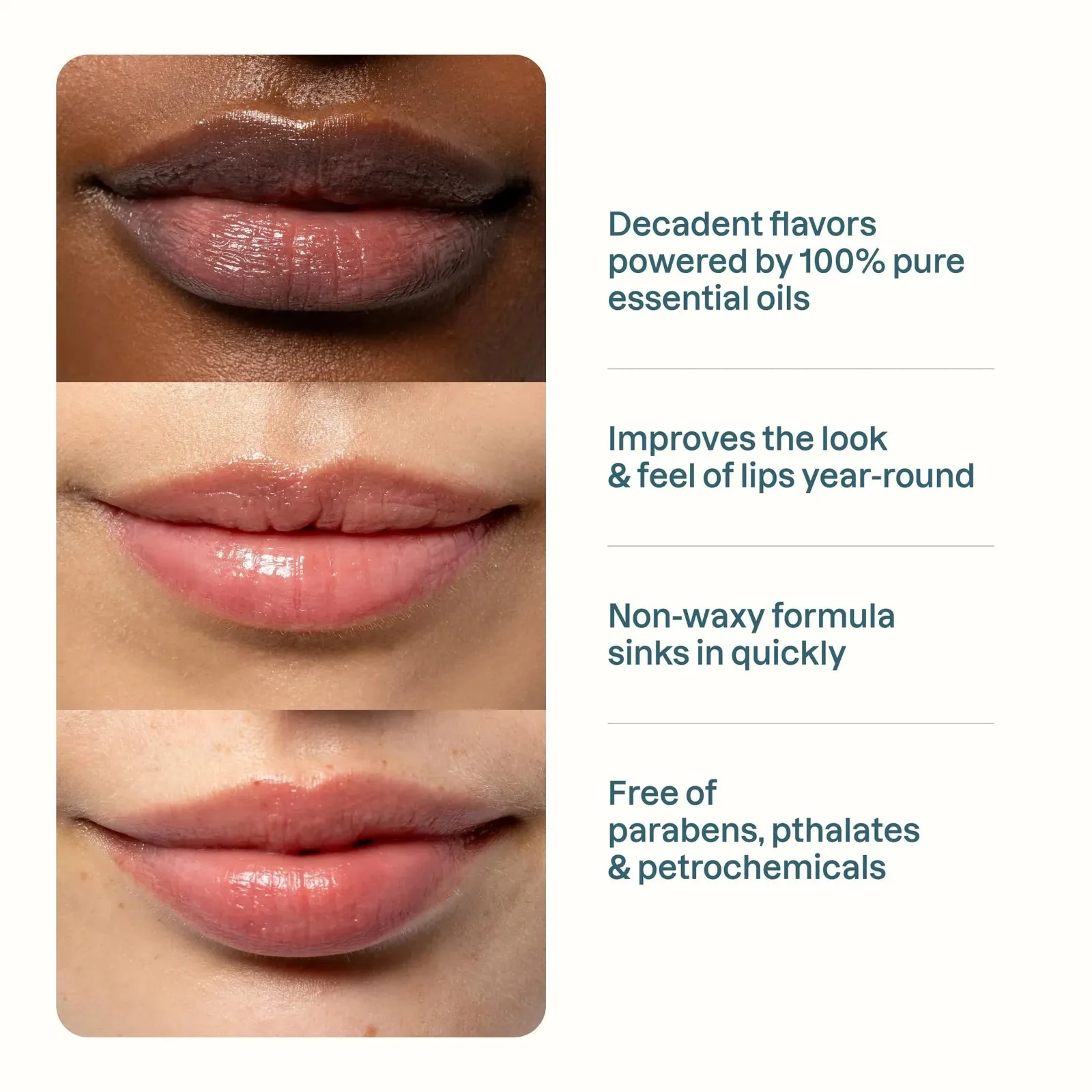 Organic Lip Balm Set (6 Flavors)