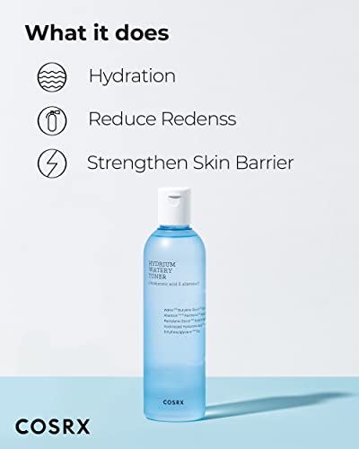 6 Hyaluronic Acids Hydrating Toner