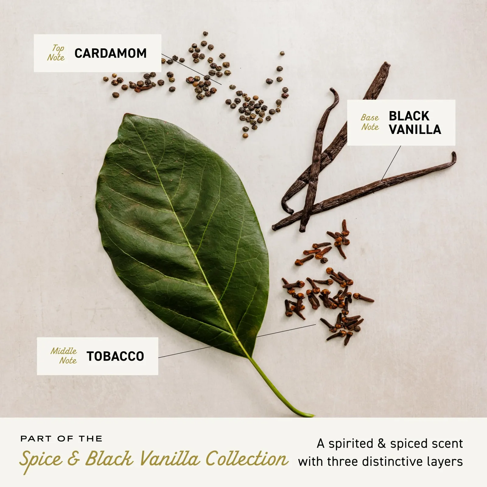 Spice & Black Vanilla Body Wash