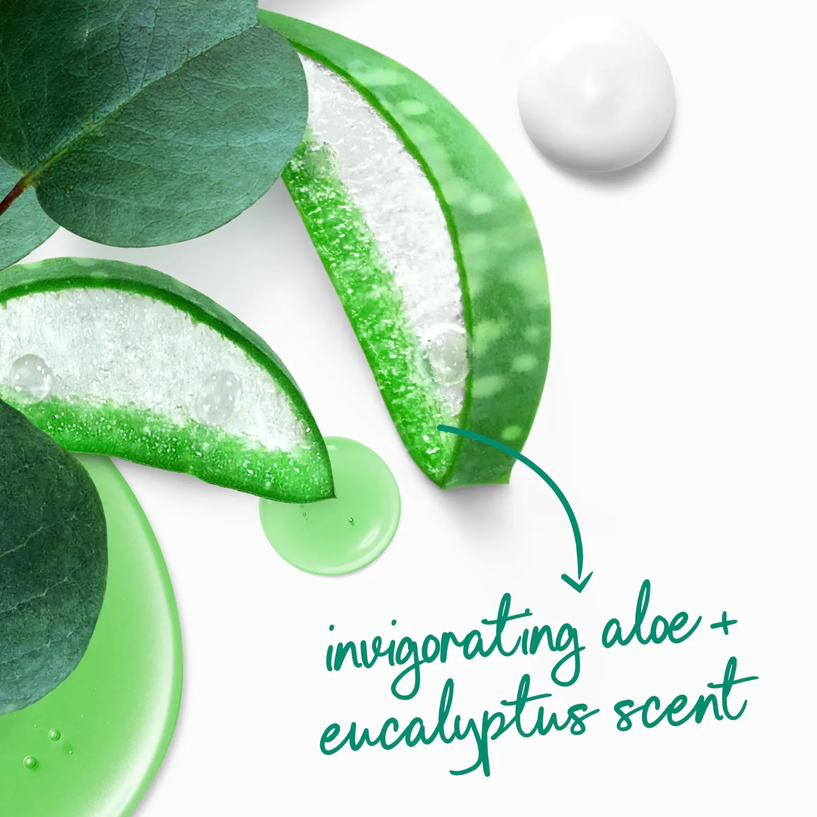 Aloe & Eucalyptus Body Wash