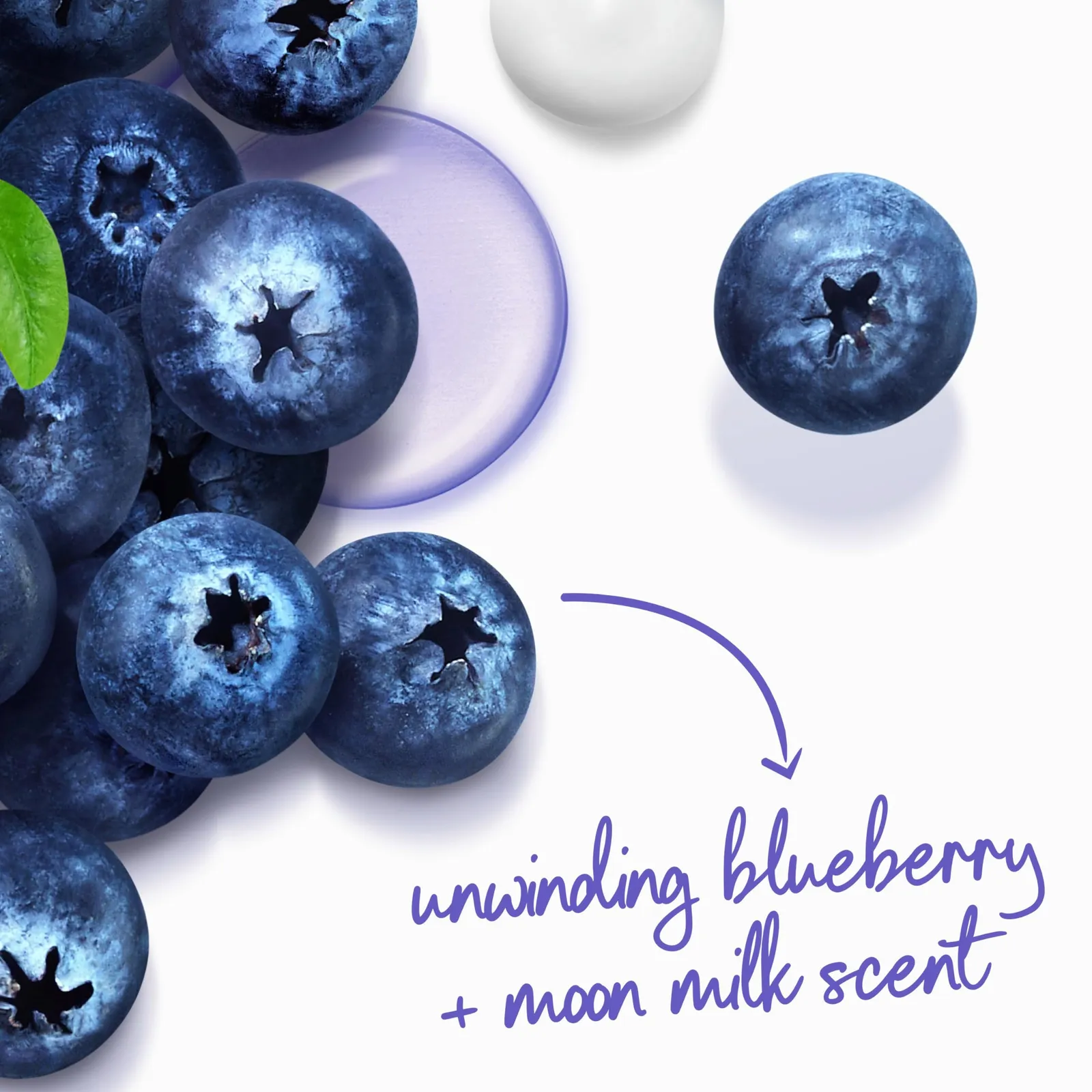 Blueberry & Moon Milk Body Wash