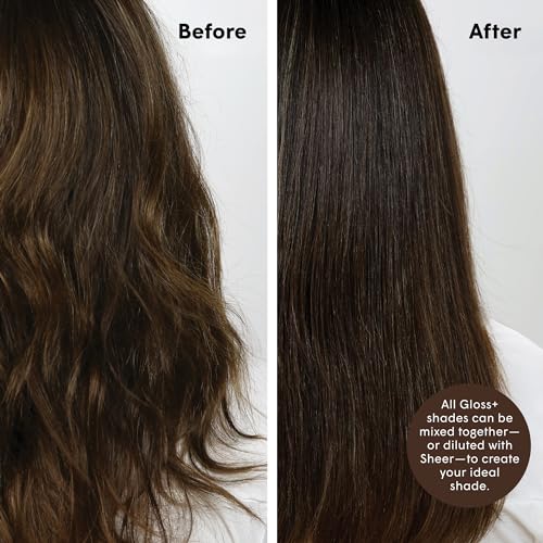 Gloss+, Medium Brown