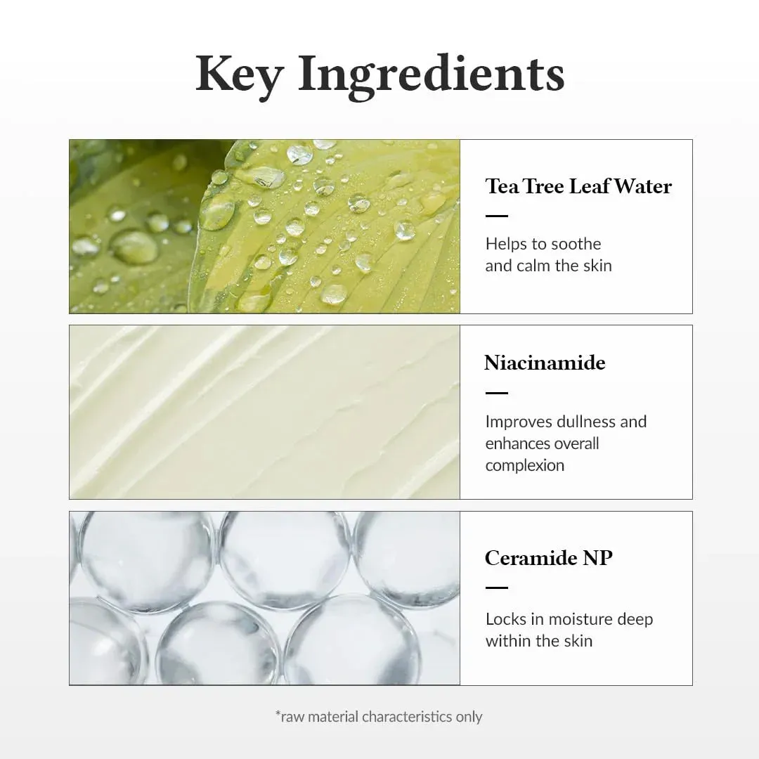Relief Cream | Korean Vegan Skin Care for All Skin Types