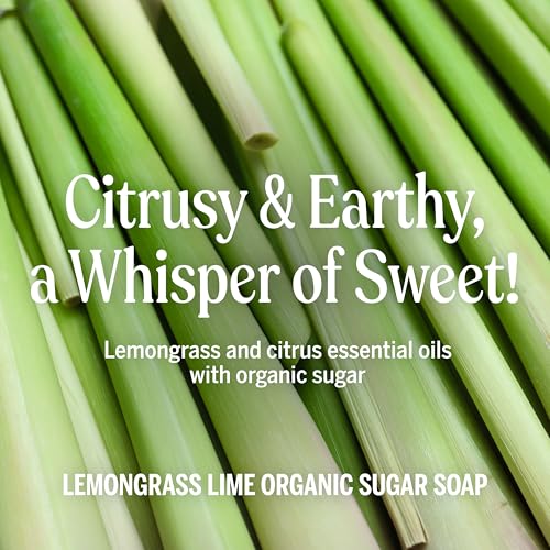 Organic Sugar Soap (Lemongrass, 12 Ounce) - Made with Regenerative Certified Organic Oils, Sugar & Shikakai Powder, 4-in-1 Use: Hands, Body, Face and Hair- Liquid Soa