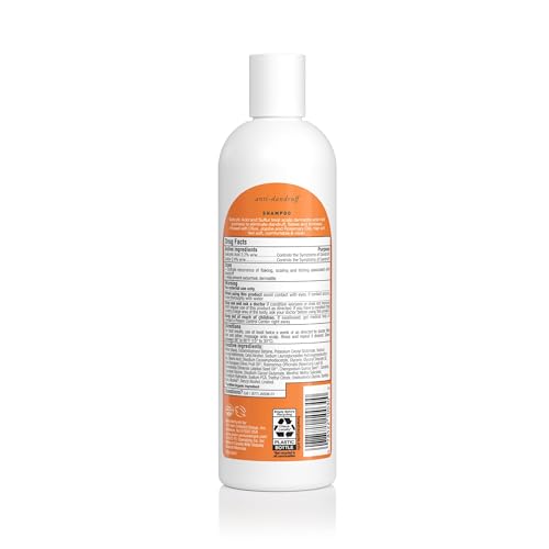 Dandruff Relief Treatment Shampoo 12 oz