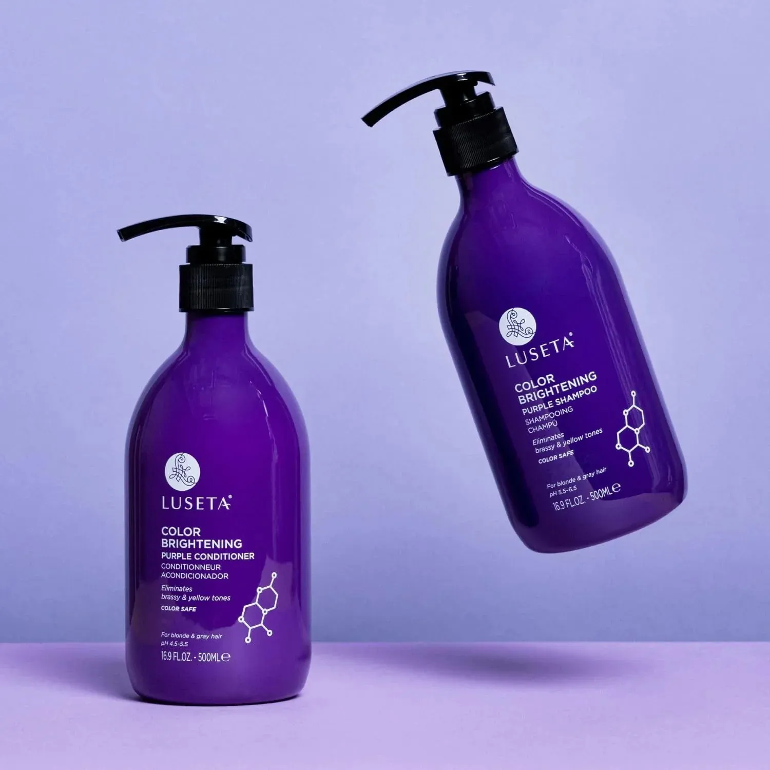Purple Shampoo and Conditioner Set