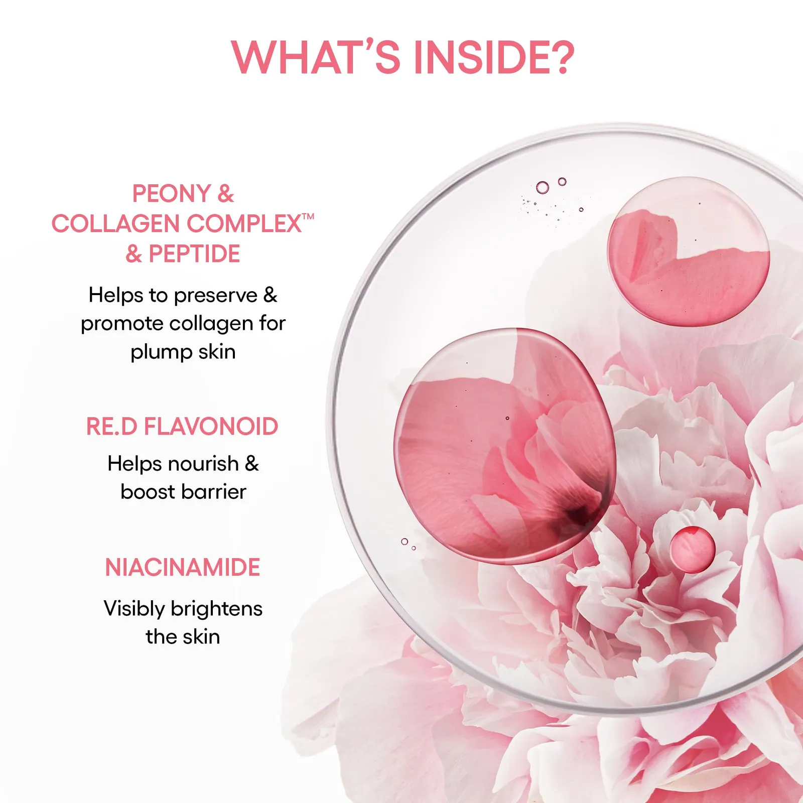 Collagen Peptide Serum