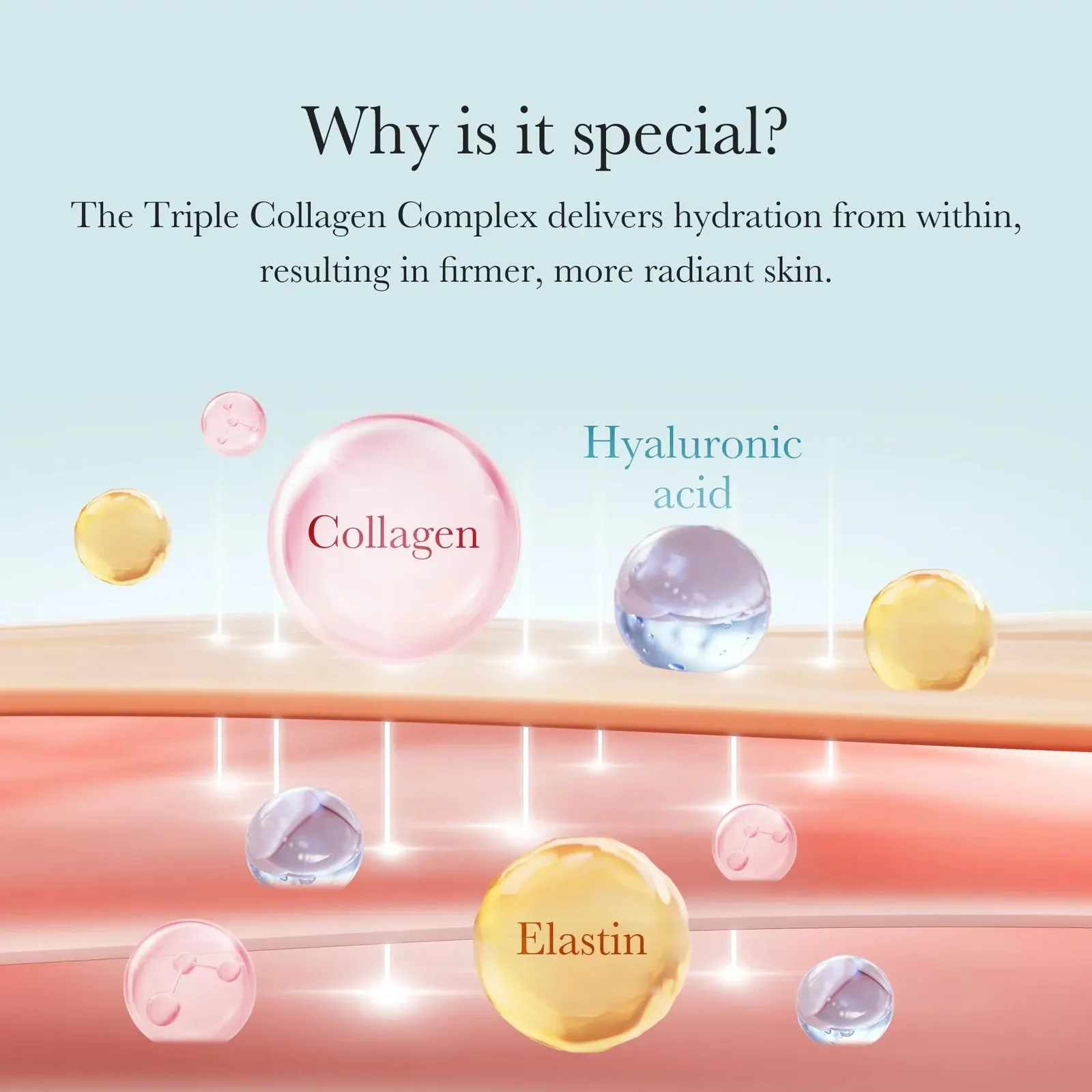 Triple Collagen Cream - Hydrating & Firming Moisturizer with Hyaluronic Acid, Premium Elastin, Shea Butter