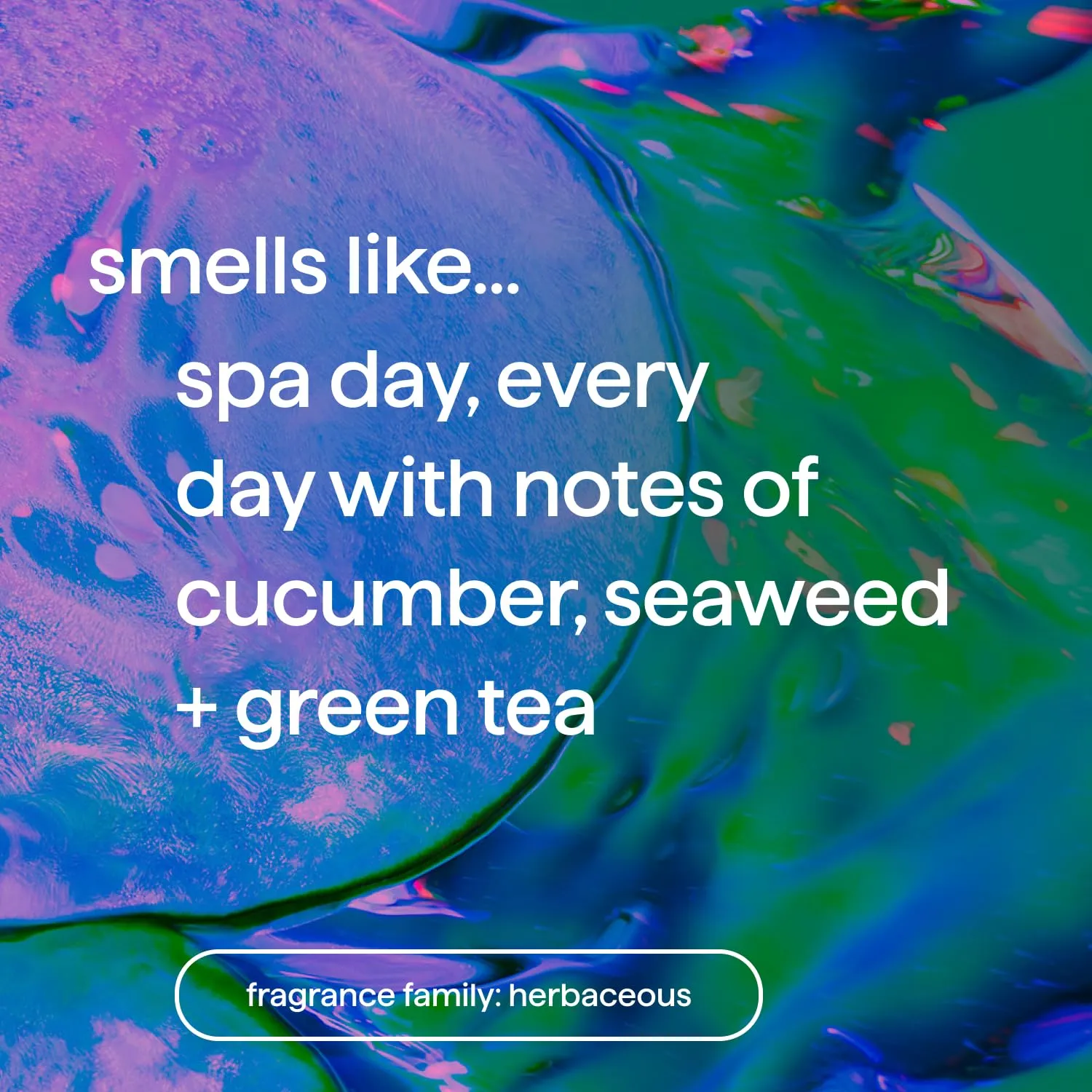 Daily Zen Body Wash
