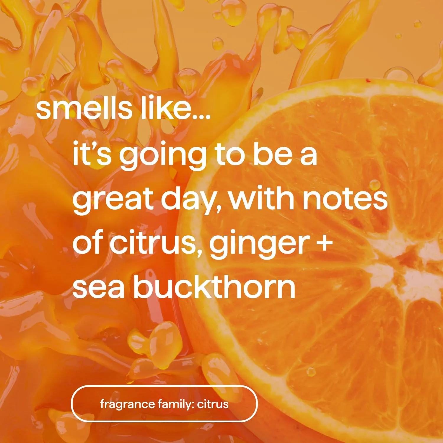 Energy Boost Body Wash