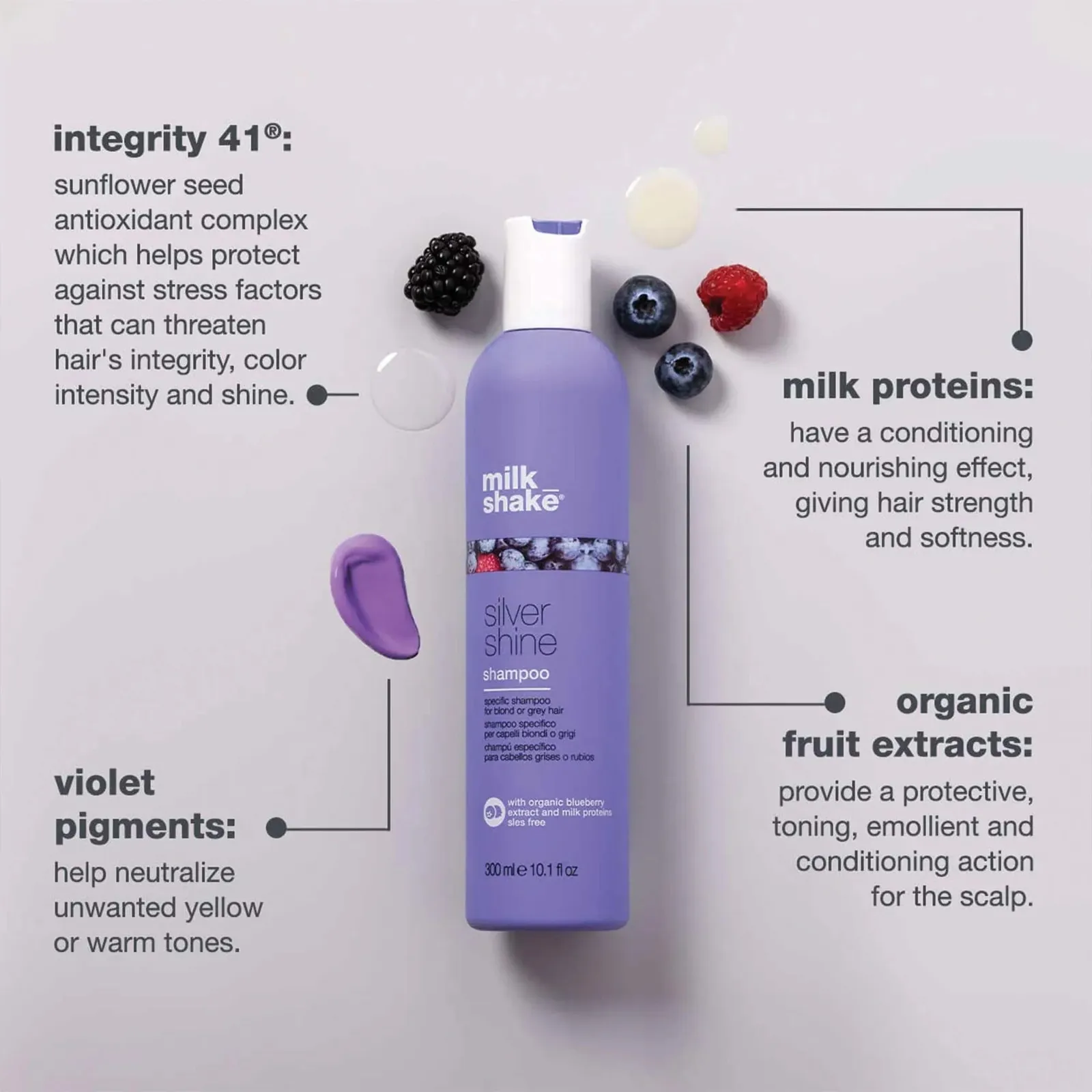 Silver Shampoo