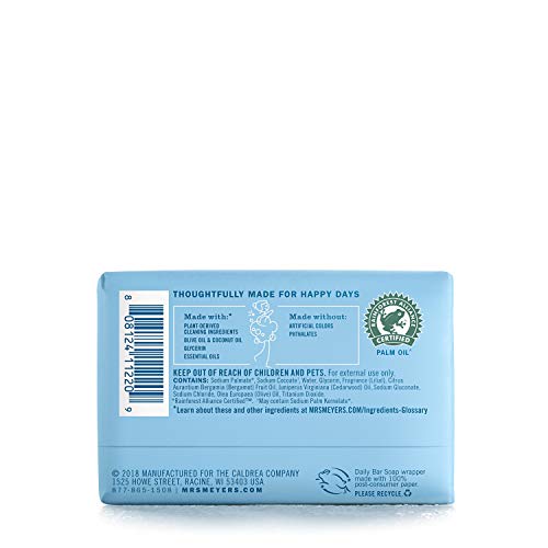 CLEAN DAY Bar Soap, Use as Body Wash or Hand Soap, Made with Essential Oils, Rain Water, 5.3 oz, 1 Bar