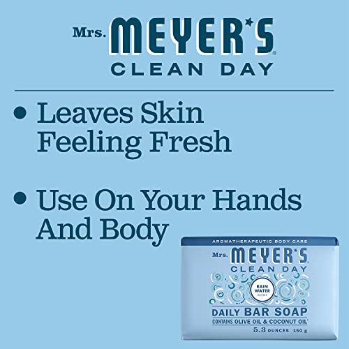 CLEAN DAY Bar Soap, Use as Body Wash or Hand Soap, Made with Essential Oils, Rain Water, 5.3 oz, 1 Bar