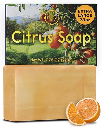 Citrus Men's Soap Bar - Exfoliating, All Natural, Unisex, 7.76 oz