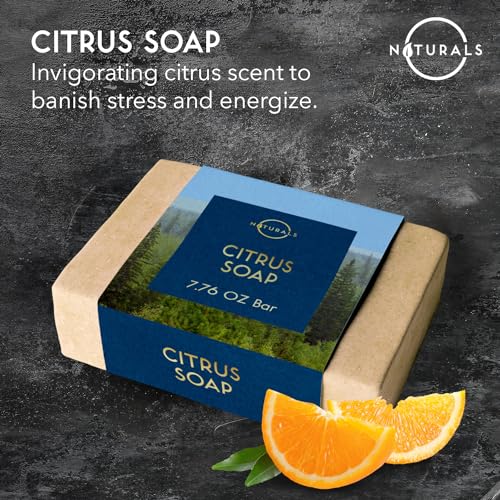 Citrus Men's Soap Bar - Exfoliating, All Natural, Unisex, 7.76 oz