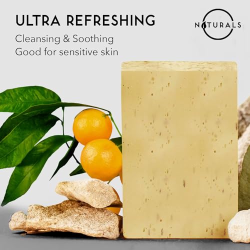 Citrus Men's Soap Bar - Exfoliating, All Natural, Unisex, 7.76 oz