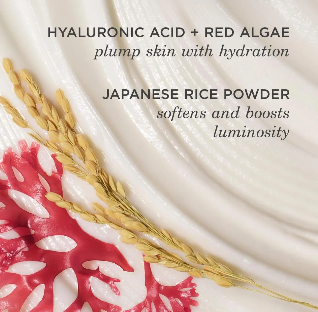 Rice Wash Facial Cleanser