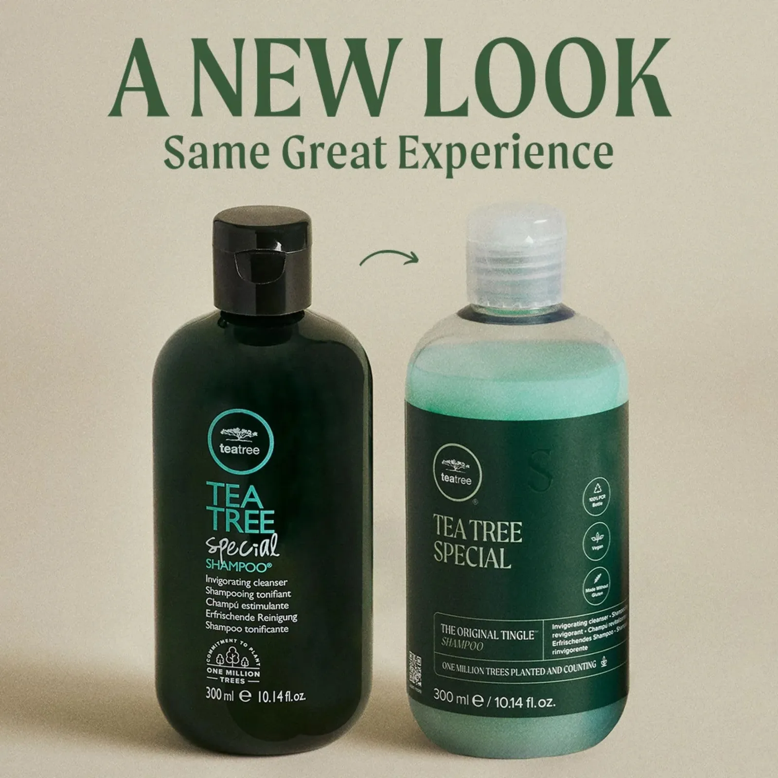 Special Shampoo 16.9 fl. oz.