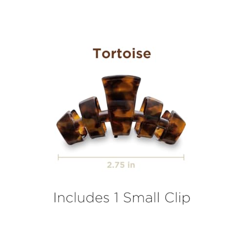 Small Hair Clip