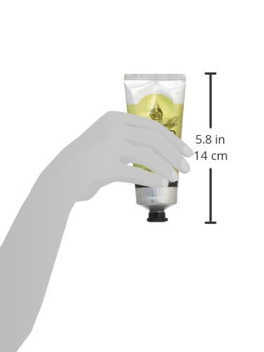 3.3-Fluid Ounce (Packaging May Vary)