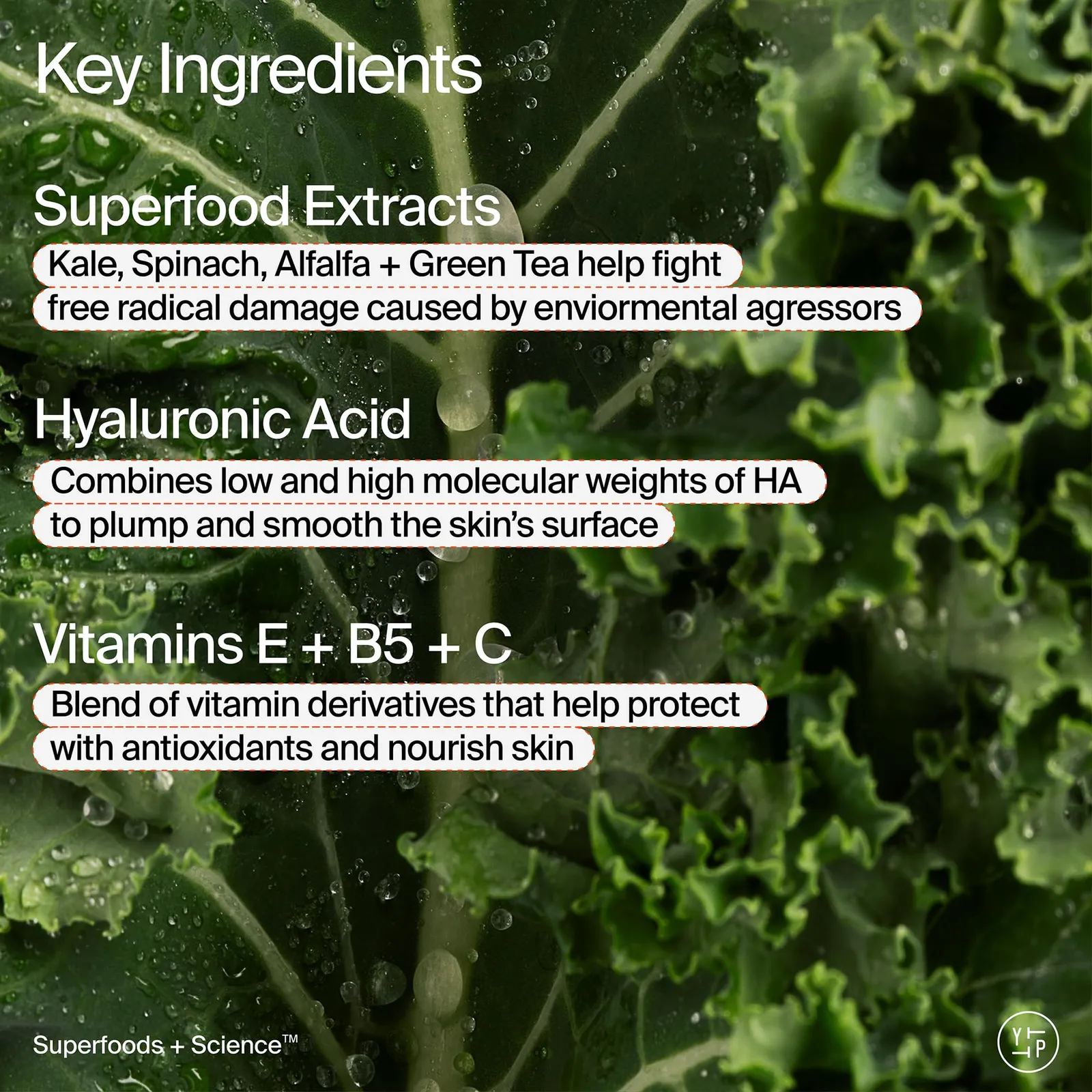 Superfood Moisture Cream