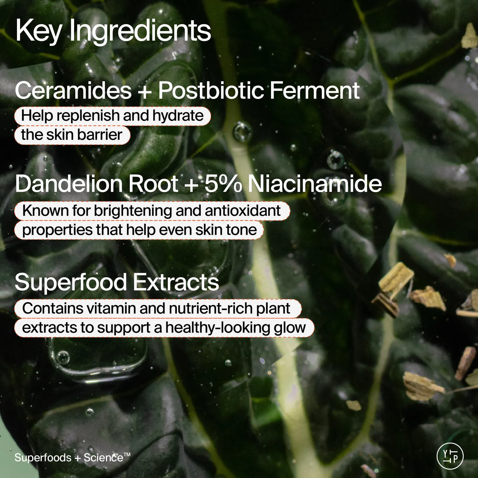 Superfood Skin Drip Serum