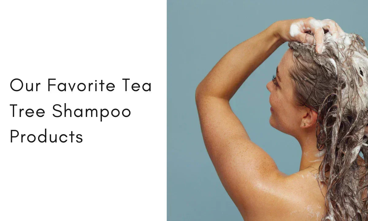 9 Best Tea Tree Shampoos for Scalp Health and Dandruff