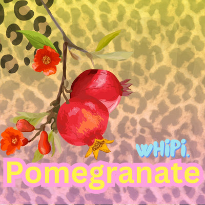 Whipi Co Happy Super Fruit Toner - Image 4