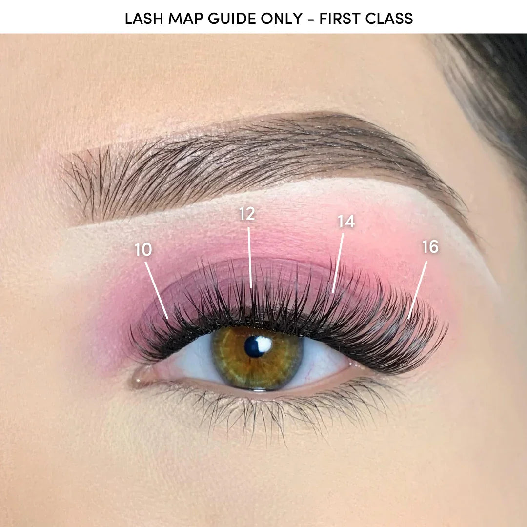 Pink Purée First Class