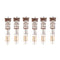 Ruby Kisses Coconut Oil Lip Gloss