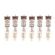 Ruby Kisses Coconut Oil Lip Gloss