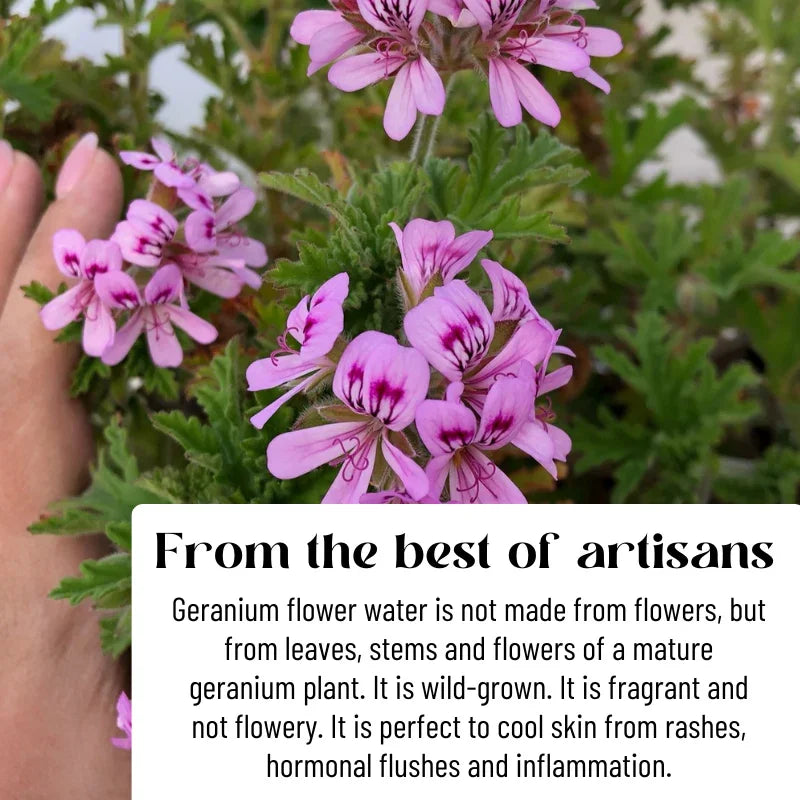 Katari Beauty Geran | Geranium Moisturizing Flower Water