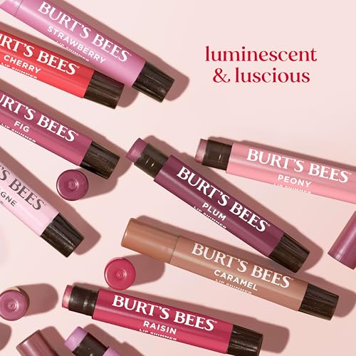 Burt's Bees Nude Collection Lip Shimmer