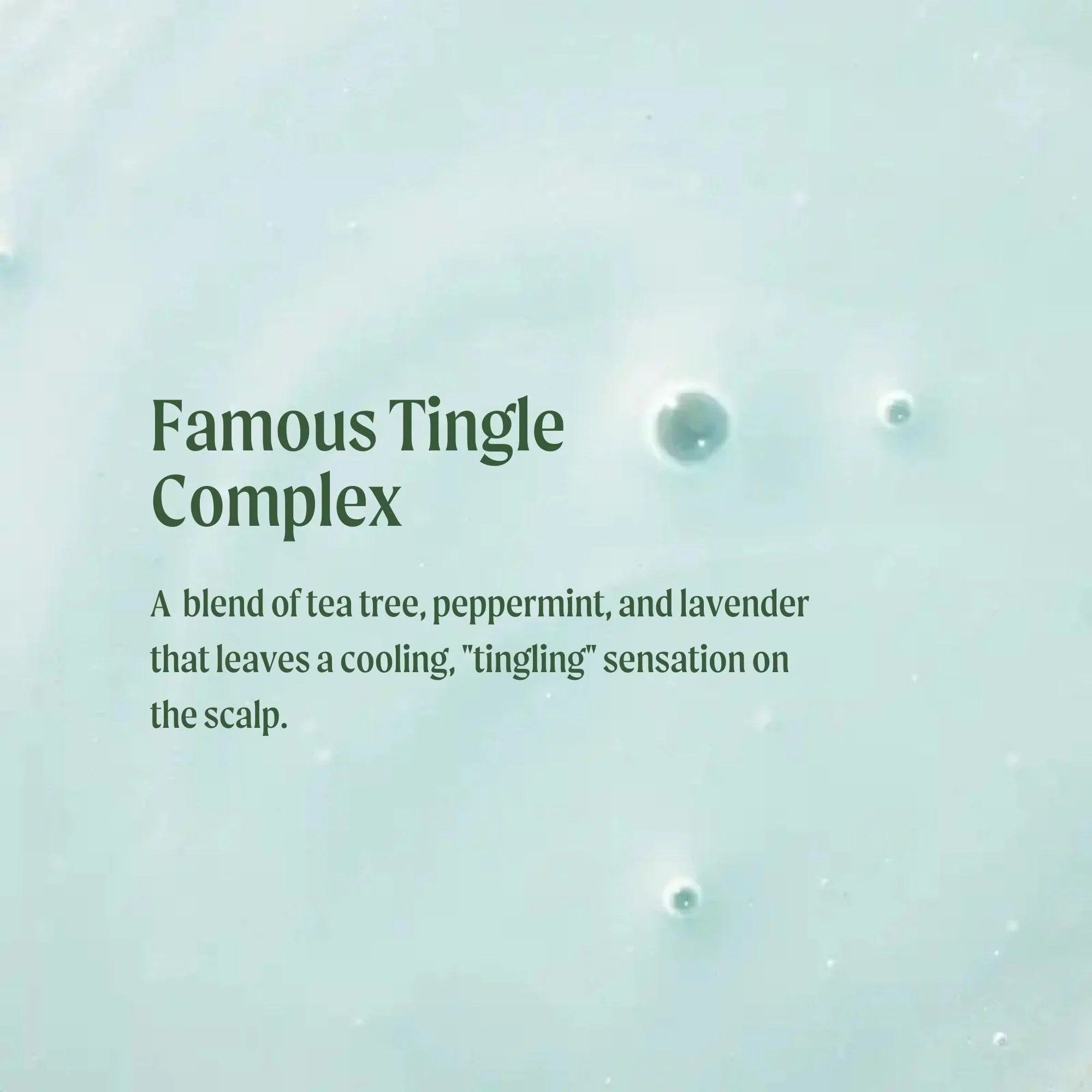 Tea Tree Special Shampoo 16.9 fl. oz.